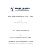 CONOCIMIENTOS DE SEGURIDAD Y SALUD EN EL TRABAJO