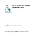 SISTEMAS DE INFORMÁTICA