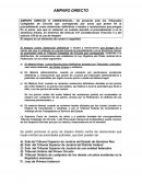 AMPARO DIRECTO (GUIA PARA PROCEDENCIA LEGAL DEL JUICIO)