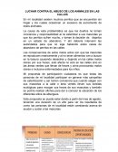 LUCHAR CONTRA EL ABUSO DE LOS ANIMALES EN LAS CALLES