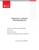 Perfiles y cargos profesionales