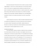 LA REVOLUCIÓN FRANCESA 1789