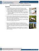 PRÁCTICA INDIVIDUAL CALIFICADA DE RAZONES TRIGONOMÉTICAS