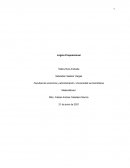 Taller 1 de lógica proposicional