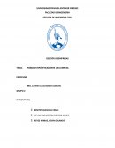 FORMAR HIPÓTETICAMENTE UNA EMRESA