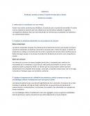 Productos, servicios y marcas. Creación de valor para el cliente