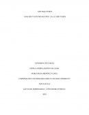 NIIF PARA PYMES ANALISIS Y ESTUDIO SECCION 28 A 33 NIIF PYMES