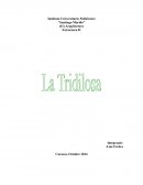 Tridilosa