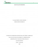 Administración y negocios internacionales. Plan de negocios