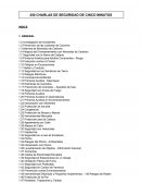 250 charlas de seguridad de cinco minutos