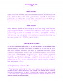 MI PROYECTO DE VIDA. 2 AÑOS