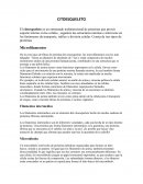 CITOESQUELETO