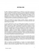 Sistemas Contables. SISTEMA CRM