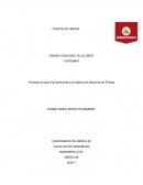 Proyecto de aula final pertinente a la materia de Mecánica de Fluidos