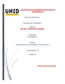 Administración de Empresas/ Plan Ejecutivo