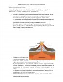 Agentes que actuan sobre la corteza terrestre