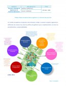 Dirección y Liderazgo de Organización de Excelencia Operacional