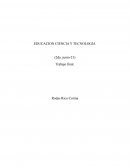 Tecnologia de la informacion y la comunicacion(USES)