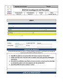 Brief de Investigación de Mercados