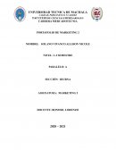 PORTAFOLIO DE MARKETING 2