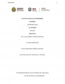 Evolucion biologica y social del hombre