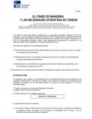 EL FONDO DE MANIOBRA Y LAS NECESIDADES OPERATIVAS DE FONDOS