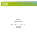 LIDERAZGO Y TRABAJO EN EQUIPO