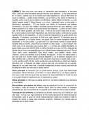 Psicoanalisis Láminas