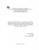 MODELO ADMINISTRATIVO PARA LA CREACION DE UNA EMPRESA DE PRODUCCION SOCIAL PARA LA ELABORACION ARTESANAL DE DULCES EN EL SECTOR JOSE ANDRES CASTILLO, DEL MUNICIPIO MONTALBAN ESTADO CARABOBO