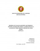 DESARROLLO DE UNA APLICACIÓN MÓVIL QUE PROMUEVA Y GESTIONE LAS VENTAS PARA TORTAS “LA CONSOLACIÓN” EN LA LOCALIDAD DE TÁRIBA, MUNICIPIO CÁRDENAS DEL ESTADO TÁCHIRA