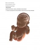 ¿Por qué es Importante la Lectura en la primera infancia con el acompañamiento de los cuidadores?