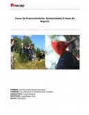 Casos De Emprendimiento, Oportunidades E Ideas De Negocio