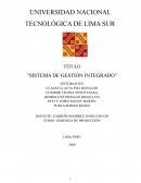 Sistema de gestion integrado