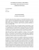 ENSAYO PSICOMETRÍA CULTURA Y EVALUACIÓN