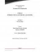 Economía de la Organización. Indicadores economicos