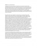 Negligencia en la preparación física