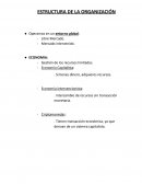 ESTRUCTURA DE LA ORGANIZACIÓN