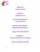 Actividad Integradora 5: Los seres vivos