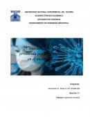Como afecta la pandemia producida por el Covid-19