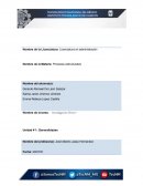 Concepto de diseño organizacional y su importancia en el desarrollo de la organización