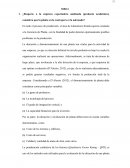 La planta de Procesadora Agroindustrial La Joya