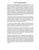 PERU: PANORAMA GENERAL . COVID-19