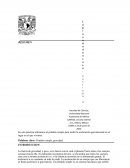 Medición de La gravedad en casa