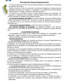 Ficha interactiva: Recursos Naturales del Perú