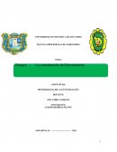 La constitución del bicentenario