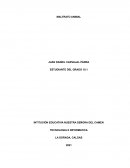 MALTRATO ANIMAL LEYES Y POLITICAS INTERNACIONALES