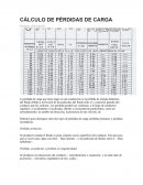 CÁLCULO DE PÉRDIDAS DE CARGA