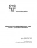 PROBLEMAS QUE AFECTAN LA ADMINISTRACIÓN ADECUADA DE LOS RECURSOS TECNOLÓGICOS EN LAS PEQUEÑAS Y MEDIANAS EMPRESAS.