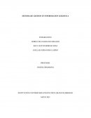 SISTEMA DE GESTION EN INFORMACION LOGISTICA