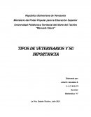 Tipos de Veterinarios y Su importancia